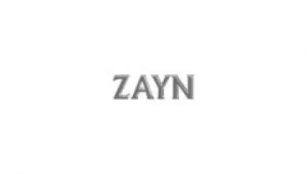 ZAYN - There You Are